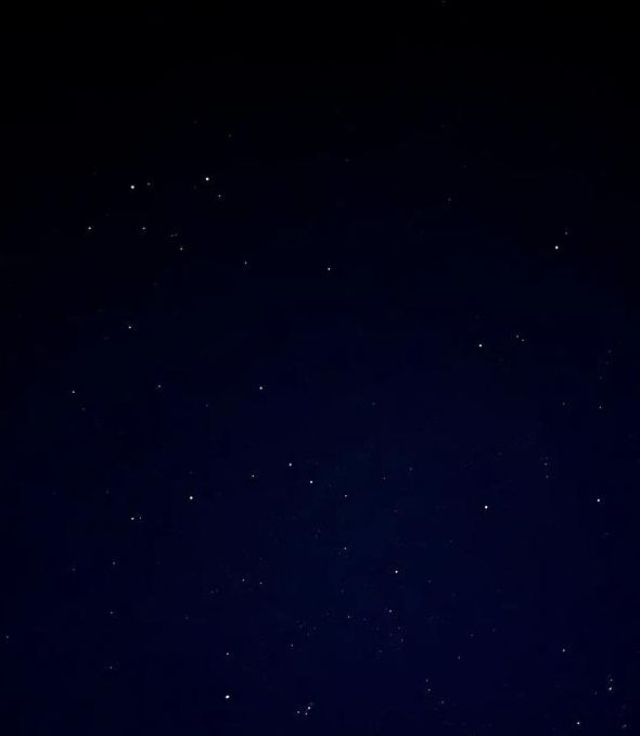 繁星影视视频手机在线观看