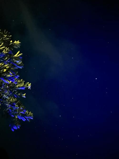 繁星影视视频手机在线观看