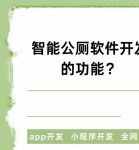 国产vpswindows厕所完整版