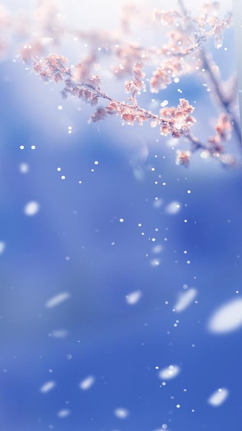 梅花视频下载汅api免费下载