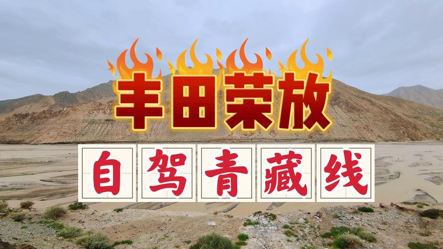 51大豆行情网仙踪林www