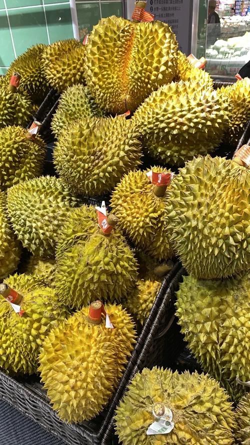 下载安装榴莲解锁版