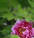 国色天香高清手机在线观看视频