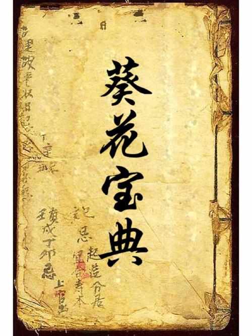 葵花宝典兔子视频