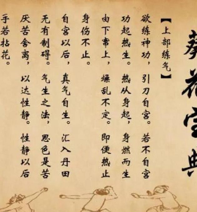 葵花宝典兔子视频