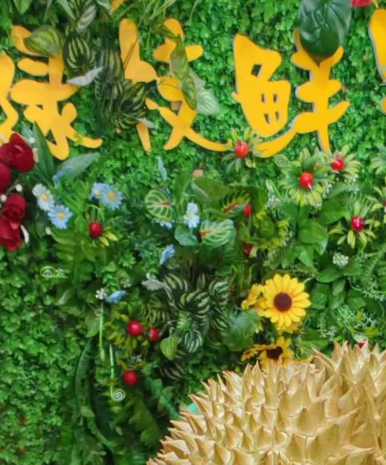 ll999榴莲aplaceholder免费最新下载安装