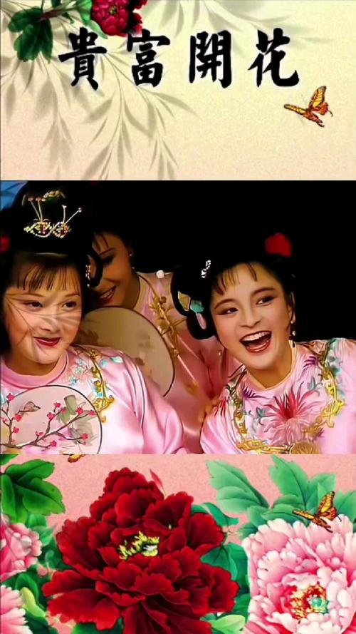 红楼春上春在线观看