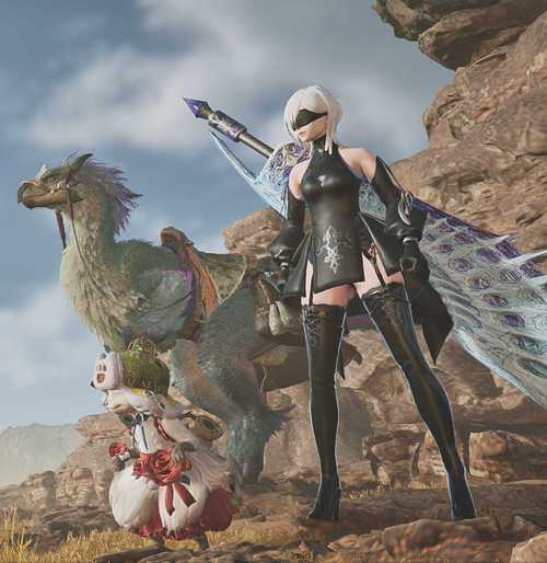 japonensisjava野外