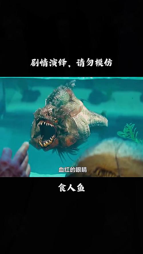 食人鱼3dd高清完整版