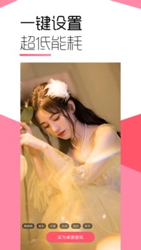 魔法壁纸官方版免费