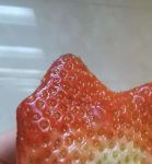 草莓视频声音放飞自我