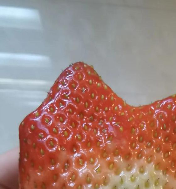 草莓视频声音放飞自我