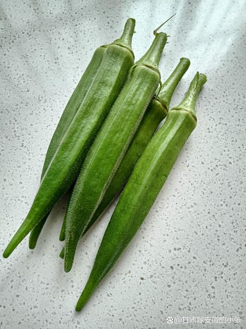 秋葵男的加油站女人的美容院