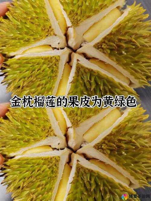 秋葵榴莲樱桃小蝌蚪解锁