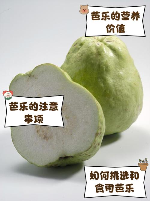 芭乐鸭脖向日葵芭乐鸭脖旧版