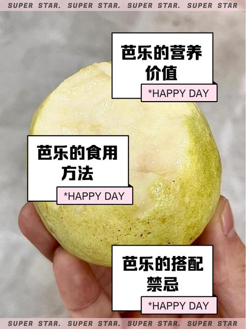 芭乐鸭脖向日葵芭乐鸭脖旧版