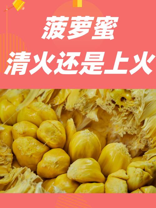 菠萝蜜夜间视频