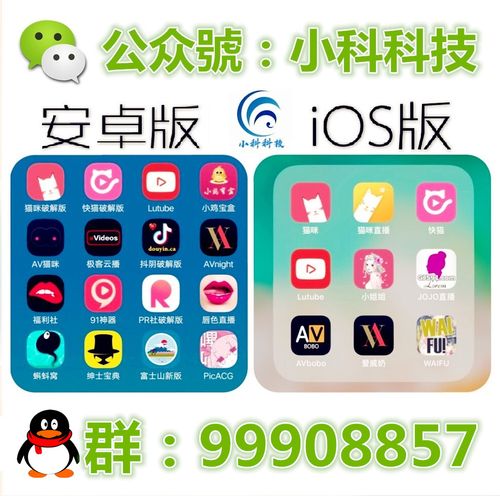 猫咪社区官方在线入口