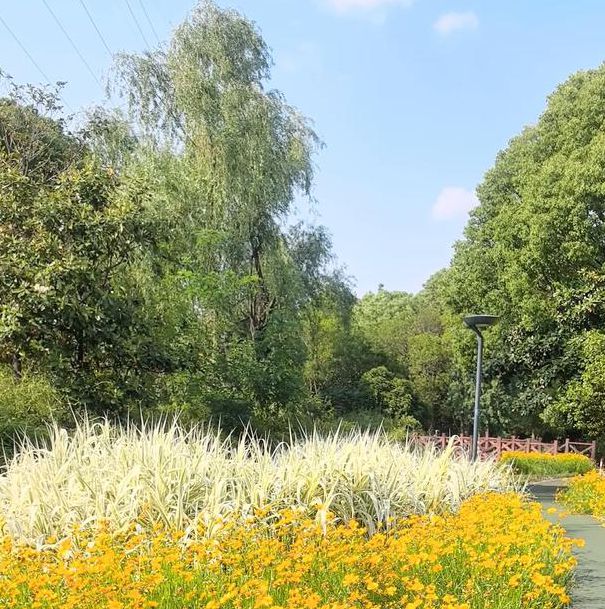 野花社区视频大全高清免费4