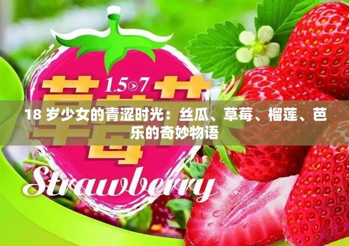 草莓丝瓜芭乐樱桃秋葵小蝌蚪榴莲无限看