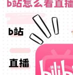 B站直播间APP