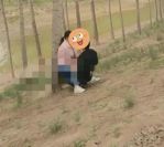 国产树林野战在线播放