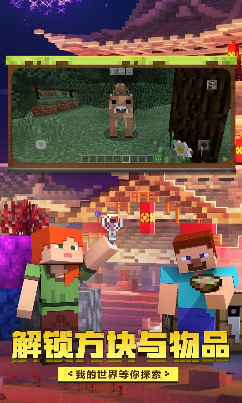 我的世界Minecraft基岩版1.16.10