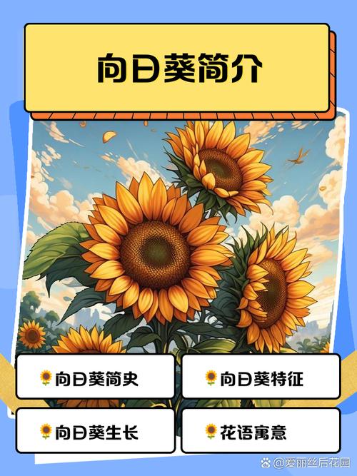 向日葵下载app下载统计