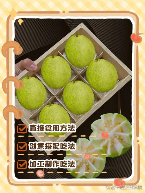 芭乐向日葵小猪鸭脖丝瓜榴莲免费版