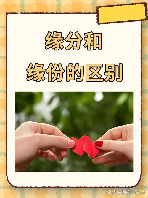 缘分百分百免费版