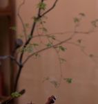 最新喝茶私人手机官网