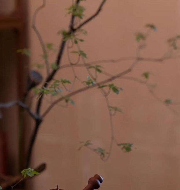 最新喝茶私人手机官网