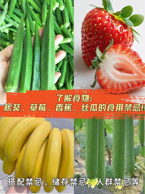 草莓芒果秋葵丝瓜香蕉