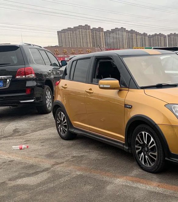 雨燕直播免费版