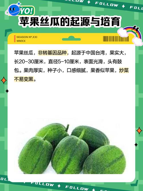 秋葵茄子丝瓜绿巨人苹果