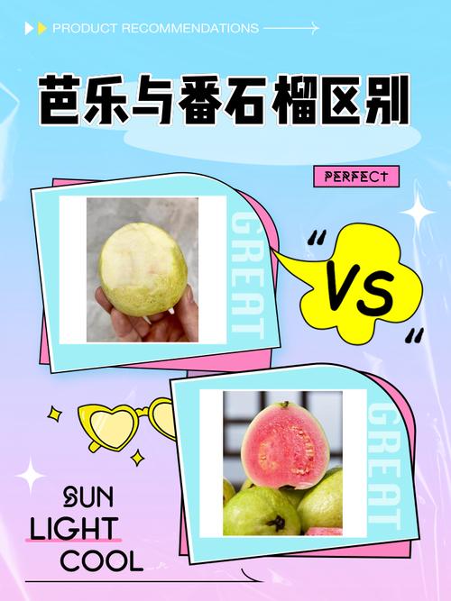 性宝福芭乐向日葵鸭脖小猪榴莲最新版