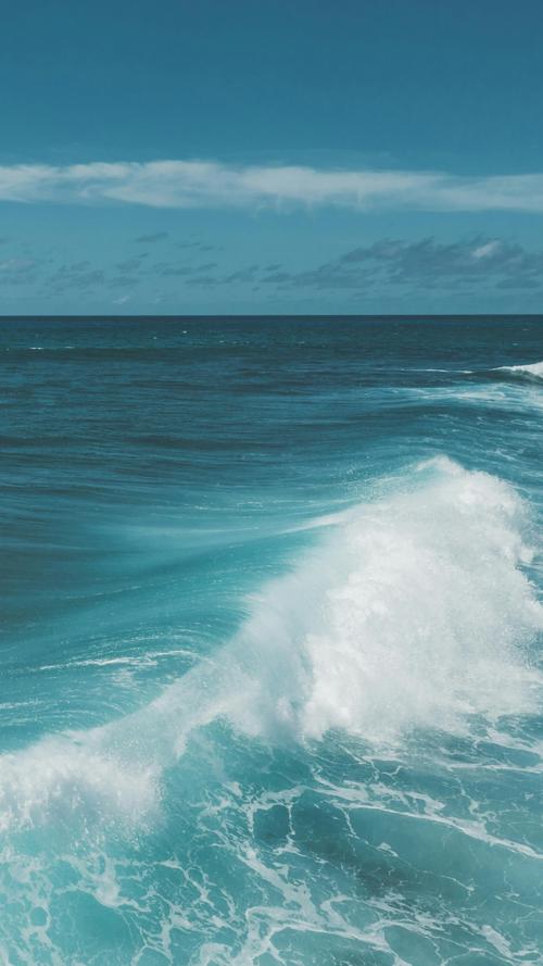 大海影视终极版