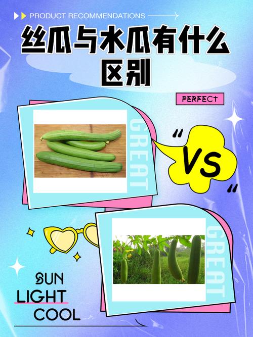 丝瓜草莓芭蕉向日葵幸福宝鸭脖