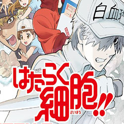 工作细胞全集免费