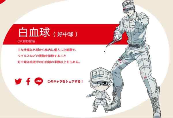 工作细胞全集免费