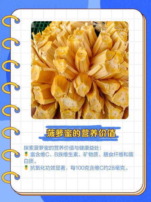 菠萝蜜新区口无限制版