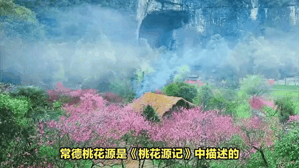 桃花源视频观看免费