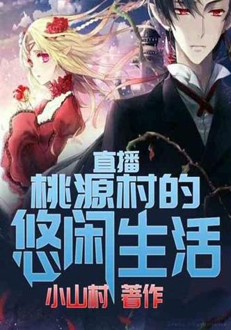 户外直播类小说