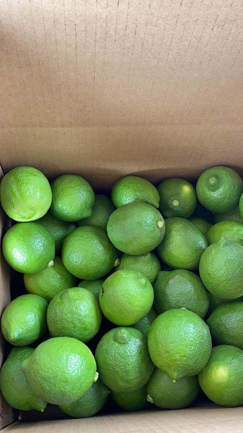 青柠在线观看高清播放百度网盘手机版