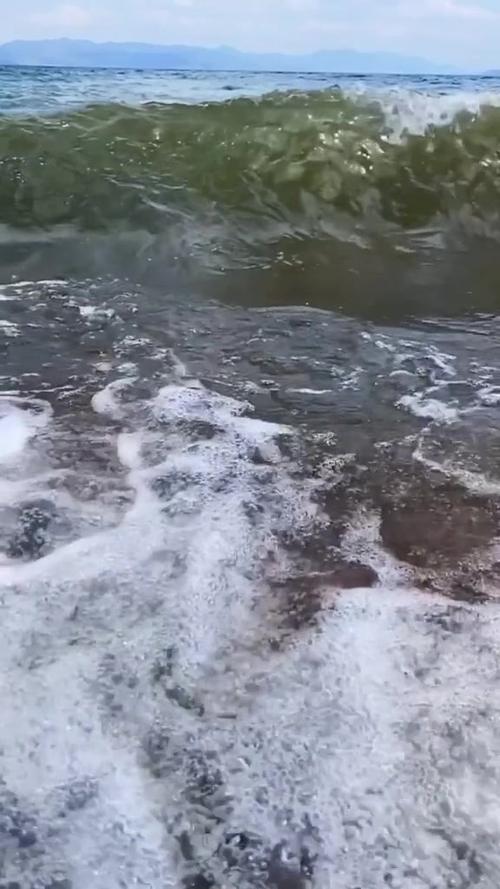 浪花视频无限播放观看