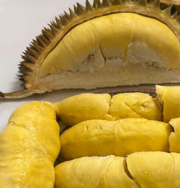 榴莲视频让你榴莲忘返