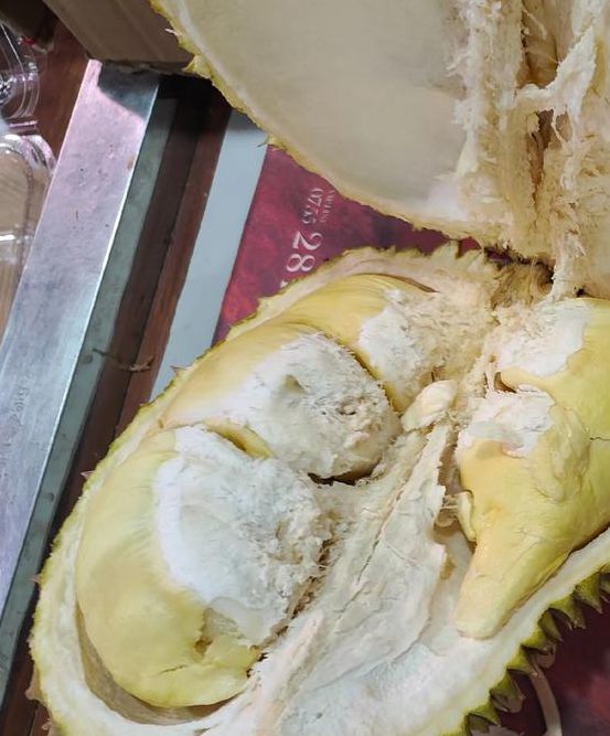 榴莲视频让你榴莲忘返