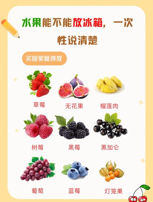 香蕉荔枝草莓樱桃西瓜葡萄免费版