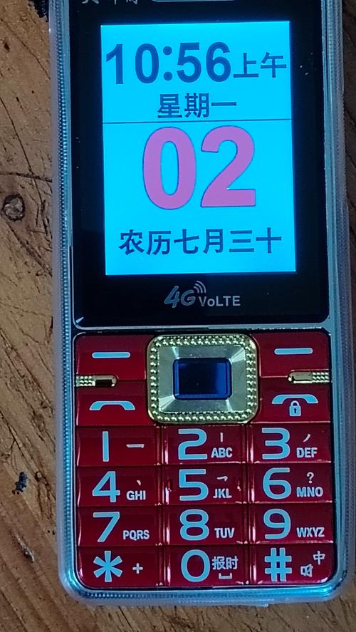 中国老人做受视频