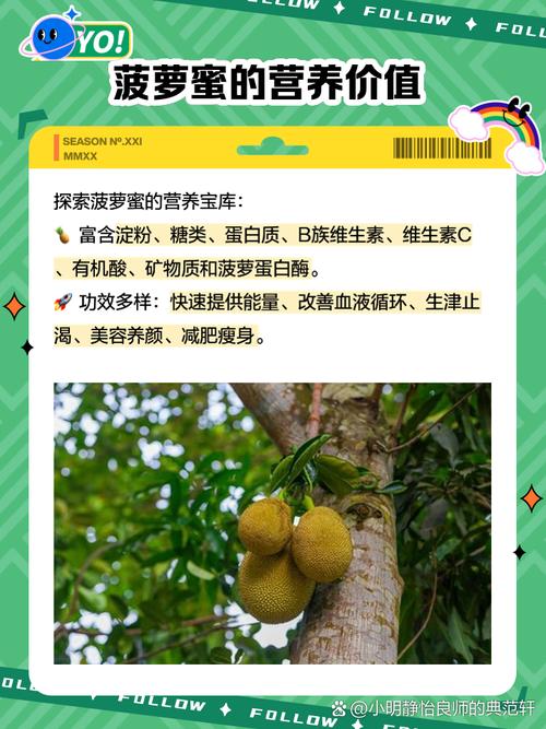 菠萝蜜国际一区麻豆精选